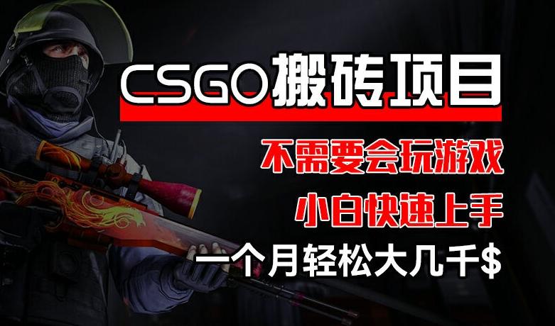 CSGO 装备搬砖项目，操作简单，不需要会玩游戏，小白也能快速上手，一个月轻松大几千【揭秘】-天使资源网