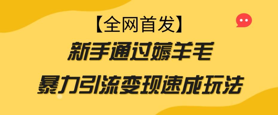 【全网首发】新手通过薅羊毛暴力引流变现速成玩法-天使资源网