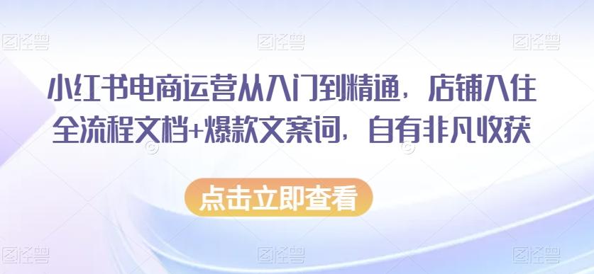 小红书电商运营从入门到精通，店铺入住全流程文档+爆款文案词，自有非凡收获-天使资源网