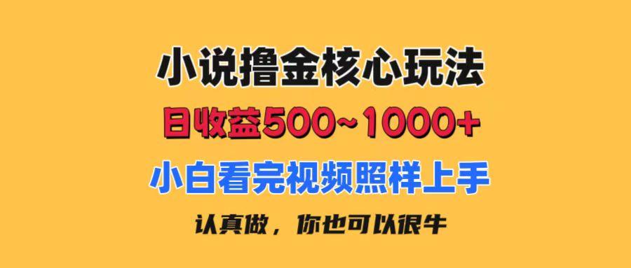 小说撸金核心玩法，日收益500-1000+，小白看完照样上手，0成本有手就行-天使资源网