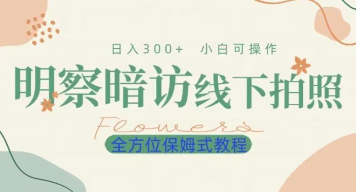 明拍暗拍项目0成本投入日入300+小白可操作保姆式全方位教程-天使资源网