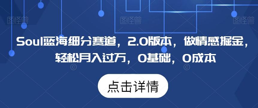 Soul蓝海细分赛道，2.0版本，做情感掘金，轻松月入过万，0基础，0成本-天使资源网