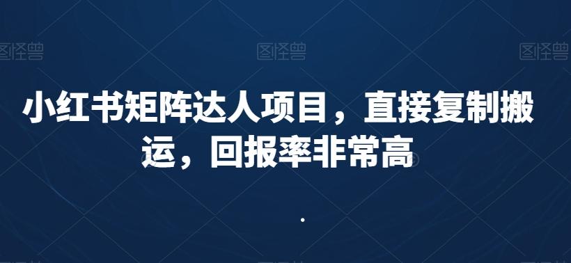 小红书矩阵达人项目，直接复制搬运，回报率非常高-天使资源网