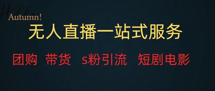 无人直播一站式服务（教程以及变现方式）-天使资源网