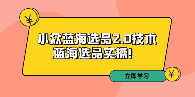 拼多多培训第33期：小众蓝海选品2.0技术-蓝海选品实操！-天使资源网
