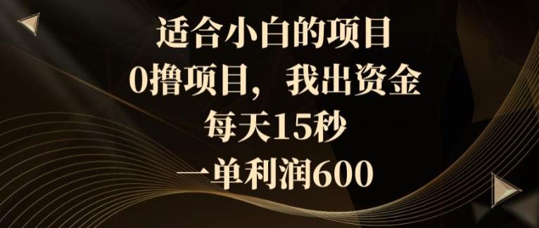 适合小白的项目，0撸项目，我出资金，每天15秒，一单利润600-天使资源网