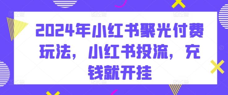 2024年小红书聚光付费玩法，小红书投流，充钱就开挂-天使资源网