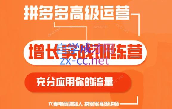 大麦老师·拼多多单品爆款打造课程(更新6月)-天使资源网