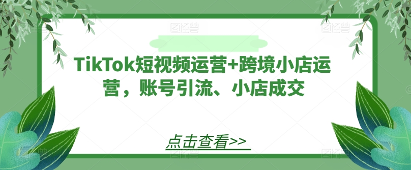 TikTok短视频运营+跨境小店运营，账号引流、小店成交-天使资源网