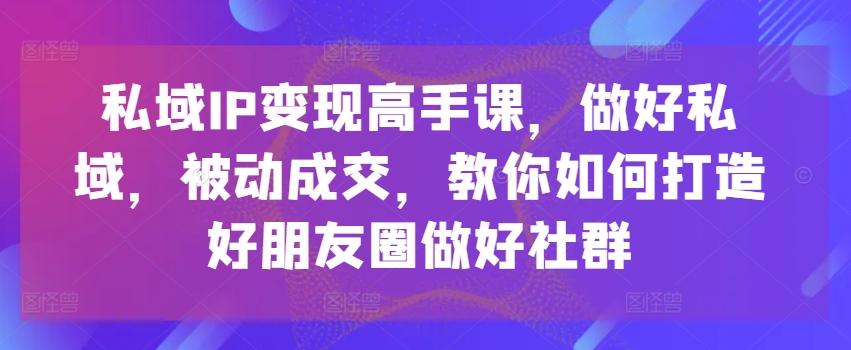 私域IP变现高手课，做好私域，被动成交，教你如何打造好朋友圈做好社群-天使资源网