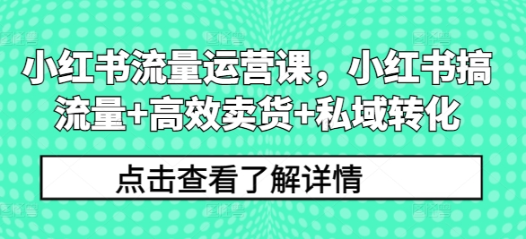 小红书流量运营课，小红书搞流量+高效卖货+私域转化-天使资源网