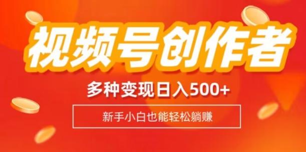 视频号创作者计划，多种变现方式，日入500+【内附1080g视频素材】-天使资源网