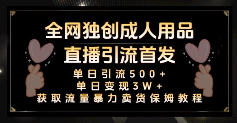 全网独创真人主播+无人直播单日引流500+，橙人用品暴力卖货单日变现3W+保姆似教学2.0【揭秘】-天使资源网