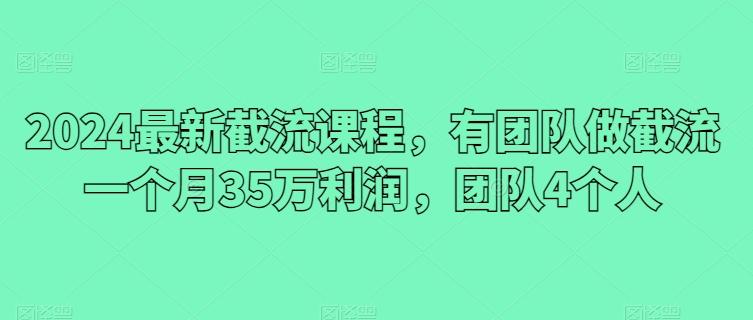 2024最新截流课程，有团队做截流一个月35万利润，团队4个人-天使资源网