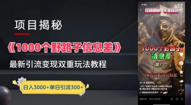 一千个野路子信息差最新玩法教程-变现+引流的玩法具体拆解【揭秘】-天使资源网
