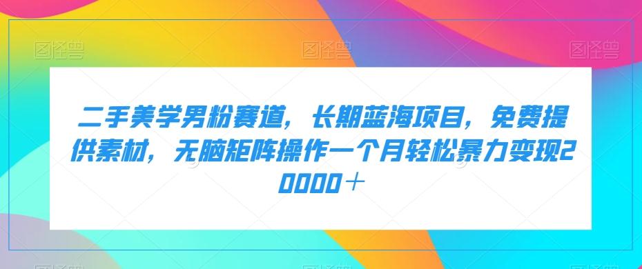 二手美学男粉赛道，长期蓝海项目，无脑矩阵操作一个月轻松暴力变现20000＋-天使资源网