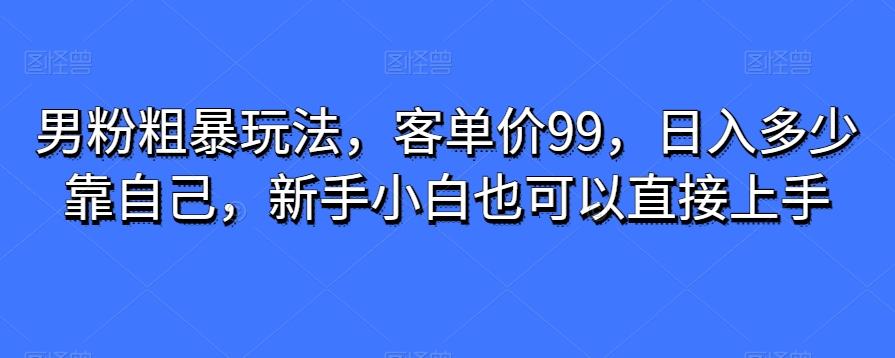 男粉粗暴玩法，客单价99，日入多少靠自己，新手小白也可以直接上手-天使资源网