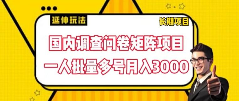 国内调查问卷矩阵项目，一人批量多号月入3000【揭秘】-天使资源网
