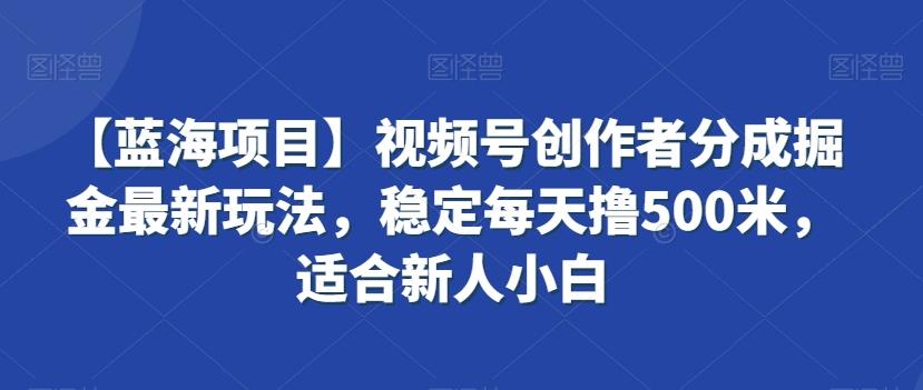 【蓝海项目】视频号创作者分成掘金最新玩法，稳定每天撸500米，适合新人小白【揭秘】-天使资源网