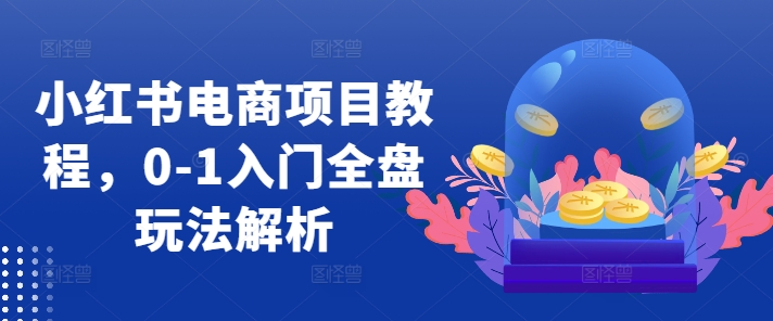 小红书电商项目教程，0-1入门全盘玩法解析-天使资源网