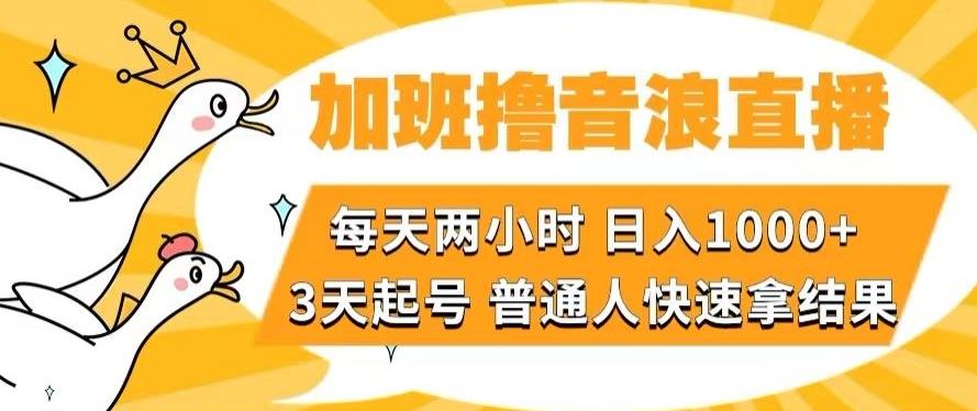 加班撸音浪直播，每天两小时，日入1000+，直播话术才3句，3天起号，普通人快速拿结果【揭秘】-天使资源网