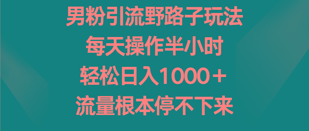 男粉引流野路子玩法，每天操作半小时轻松日入1000＋，流量根本停不下来-天使资源网