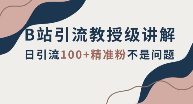 B站引流教授级讲解，细节满满，日引流100+精准粉不是问题【揭秘】-天使资源网