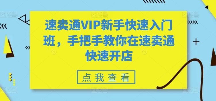 速卖通VIP新手快速入门班，手把手教你在速卖通快速开店-天使资源网