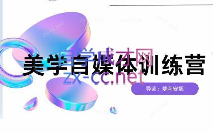 安娜·美学自媒体IP系统课-天使资源网