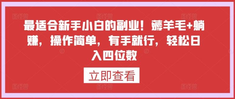 最适合新手小白的副业！薅羊毛+躺赚，操作简单，有手就行，轻松日入四位数【揭秘】-天使资源网
