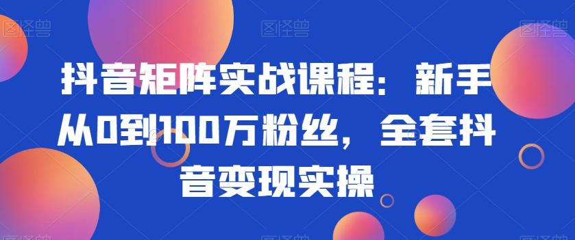 抖音矩阵实战课程：新手从0到100万粉丝，全套抖音变现实操-天使资源网