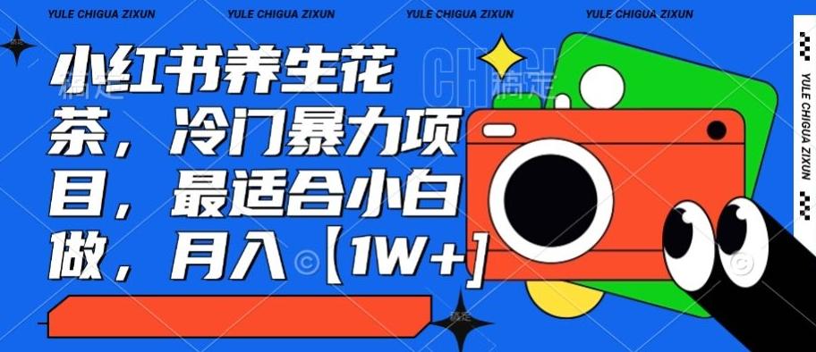 小红书养生花茶，冷门暴力项目，最适合小白做，月入【1W+】-天使资源网