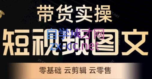 鑫哥·2024零基础短视频带货实操营-天使资源网