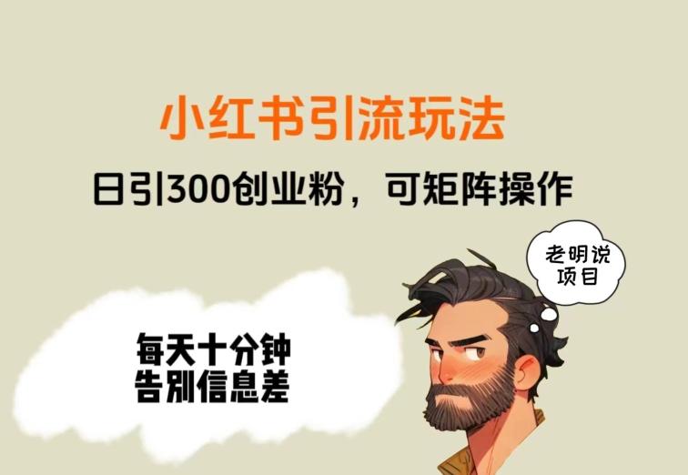 靠小红书视频日印300粉，两分钟一个视频轻松矩阵-天使资源网