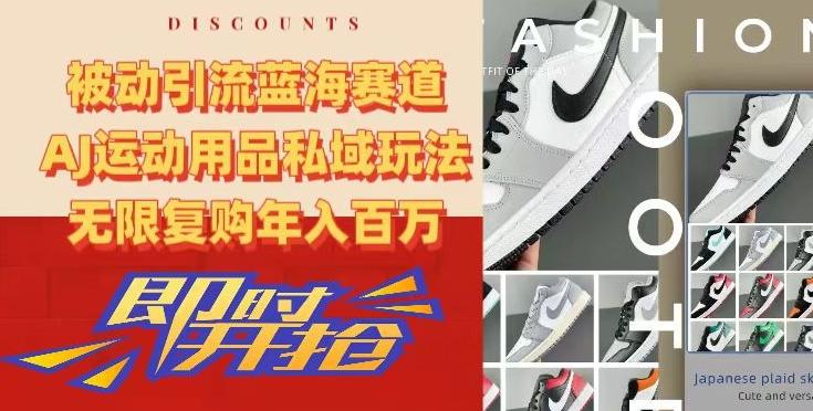 被动引流蓝海赛道，AJ运动用品私域玩法，无限复购年入百万【揭秘】-天使资源网