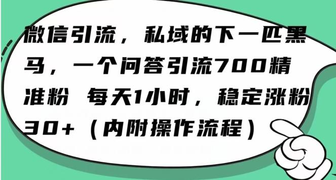 怎么搞精准创业粉？微信新赛道，每天一小时，利用Ai一个问答日引100精准粉-天使资源网