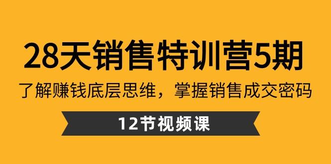 28天销售特训营5期：了解赚钱底层思维，掌握销售成交密码（12节课）-天使资源网