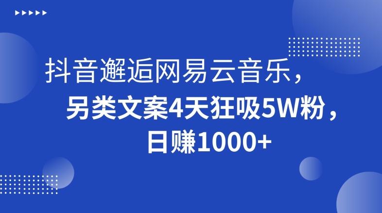 抖音邂逅网易云音乐，另类文案4天狂吸5W粉，日赚1000+【揭秘】-天使资源网