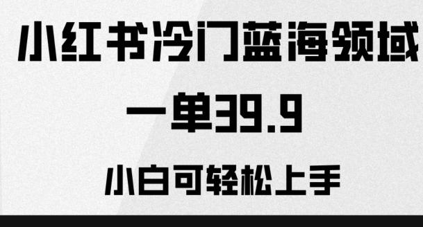 小红书冷门蓝海领域，一单39.9，小白可轻松上手-天使资源网