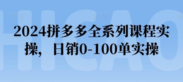 2024拼多多全系列课程实操，日销0-100单实操【必看】-天使资源网