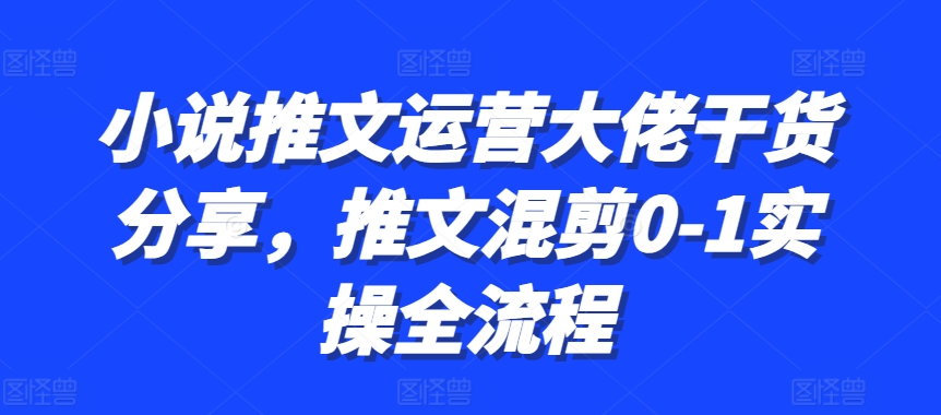 小说推文运营大佬干货分享，推文混剪0-1实操全流程-天使资源网