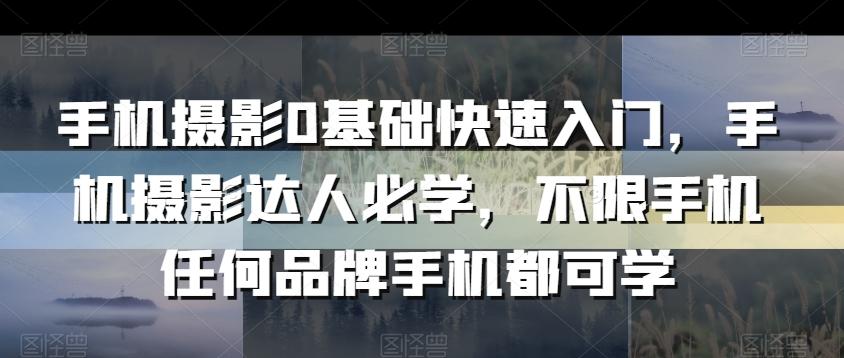 手机摄影0基础快速入门，手机摄影达人必学，不限手机任何品牌手机都可学-天使资源网