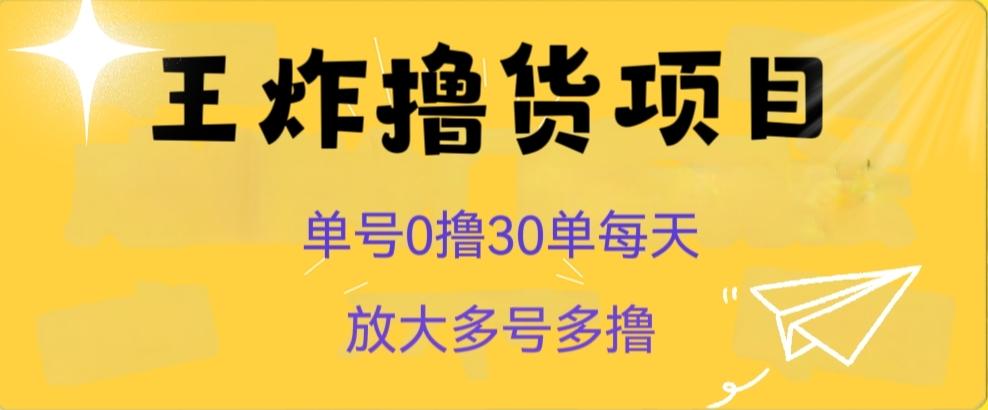 王炸撸货项目，单号0撸30单每天，多号多撸【揭秘】-天使资源网
