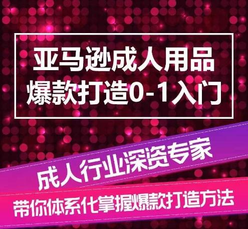 亚马逊成人用品爆款打造0-1入门，系统化讲解亚马逊成人用品爆款打造的流程-天使资源网