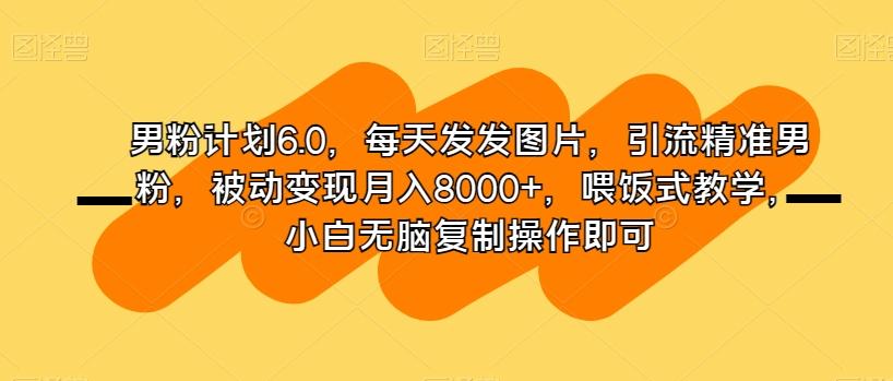 男粉计划6.0，每天发发图片，引流精准男粉，被动变现月入8000+，喂饭式教学，小白无脑复制操作即可-天使资源网