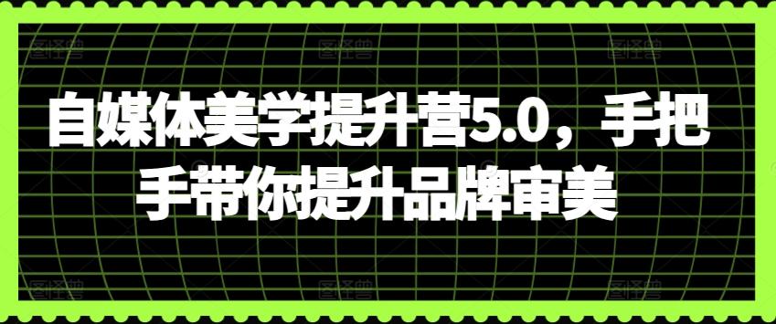 自媒体美学提升营5.0，手把手带你提升品牌审美-天使资源网
