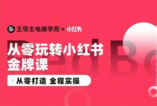 王导主·小红书电商运营实操课，​从零打造  全程实操-天使资源网