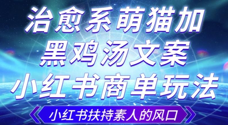 治愈系萌猫加+黑鸡汤文案，小红书商单玩法，3~10天涨到1000粉，一单200左右-天使资源网