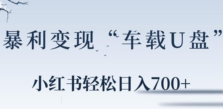 小红书“车载U盘”暴利引流，日入700+-天使资源网