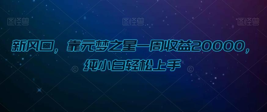 新风口，靠元梦之星一周收益20000，纯小白轻松上手-天使资源网